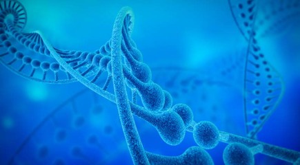成都遠泓生物科技