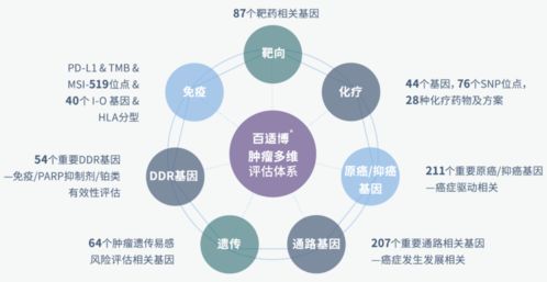 臻和科技完成超十億元E輪融資,將進一步推動腫瘤診斷產品研發