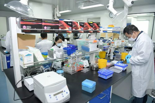 全力以赴 爭分奪秒加強科技攻關 李強今天調研生物醫藥企業,要求加快抗疫產品研發 應用 生產