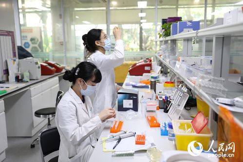 行進(jìn)中國 丨調(diào)研行海南的三張新 名片