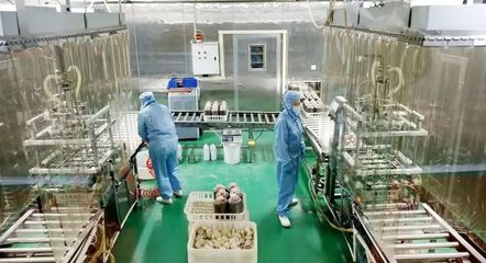 道真:“鏈”上助推工業振興