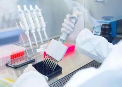科克大學新開設課程:制藥和生物制藥工程碩士!