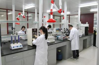 生物醫藥看濱海 | 凱萊英醫藥集團:企業與濱海新區共成長