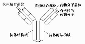 南洋東華公司研發(fā)了兩種石油降解產(chǎn)品bdb n生物降解菌 厭氧型 和bdb a生物降解菌 好氧型 ,降解菌是通過產(chǎn)生酶對石油進(jìn)行分解的 如圖為不同條件下,某種降解菌對某湖泊污泥中石油分解能力的測定結(jié)果