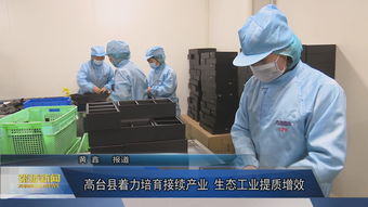 高臺縣著力培育接續產業 生態工業提質增效
