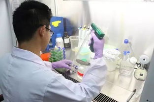 酷暑中的堅守 誰是最可愛的人 實驗室工作實錄 下