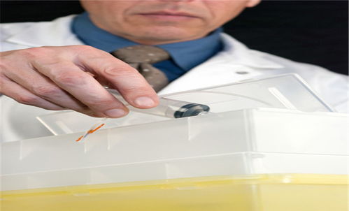 華恒生物ipo后院起火 實控人深陷擔保糾紛小市場壓低估值天花板