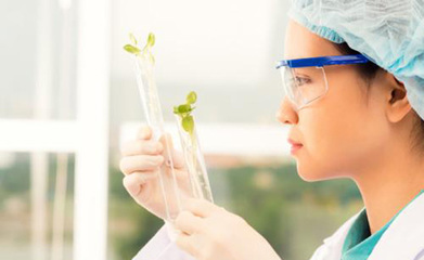 河南施貝收生物科技|施貝收|葉面肥|元素肥|生物菌劑