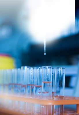 關于我們客戶生物藍色手機海報