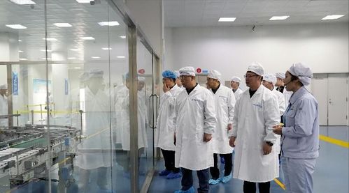石家莊市人大常委會一行到經開區調研產業園區發展情況