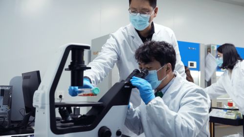 重磅喜報 愛寵生物貓三聯(lián)疫苗成功獲批