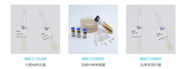 北納生物(BNCC)--微生物質(zhì)控品