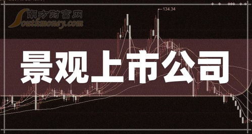 創業板景觀公司排名 2024上市公司市值榜