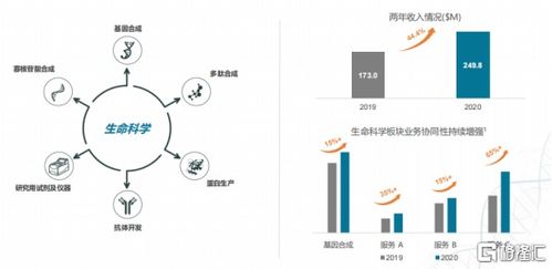 金斯瑞生物科技 1548.hk 營收增長43 ,非細胞治療超預期,研發將迎收獲期