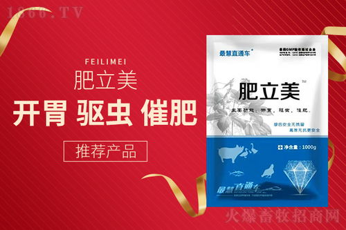 夏季母豬吃料少,采食量下降怎么辦 是因為你不知道這些