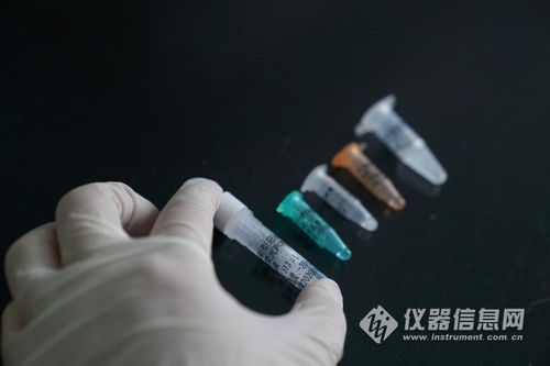 10臺大型核酸檢測儀運(yùn)抵武漢 可日檢6000份樣品