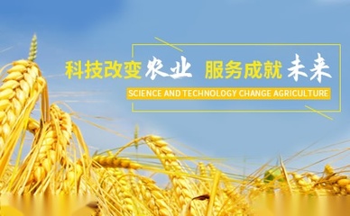 大清生物Datsing品牌怎么樣